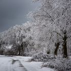 Auf der rauen Alb, in Schnee und Eis gehüllt