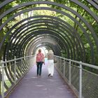 Auf der Rehberger Brücke