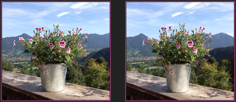 Auf der Reiseralm [3D]