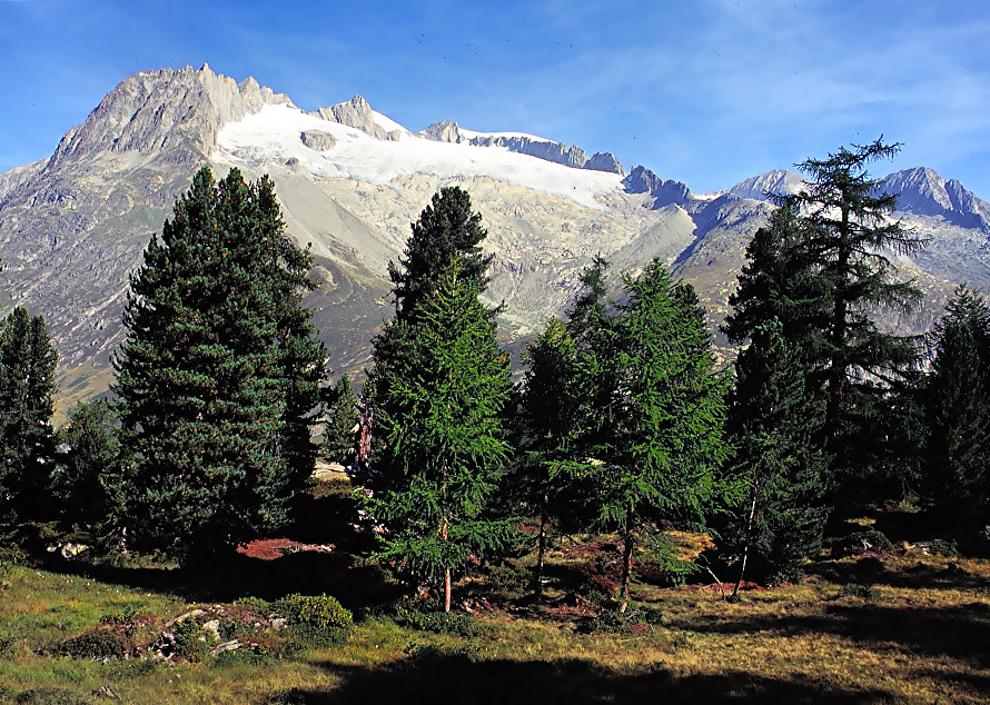 auf der Rieder Alp,im Hintergrund das Gleishorn