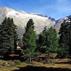 auf der Rieder Alp,im Hintergrund das Gleishorn