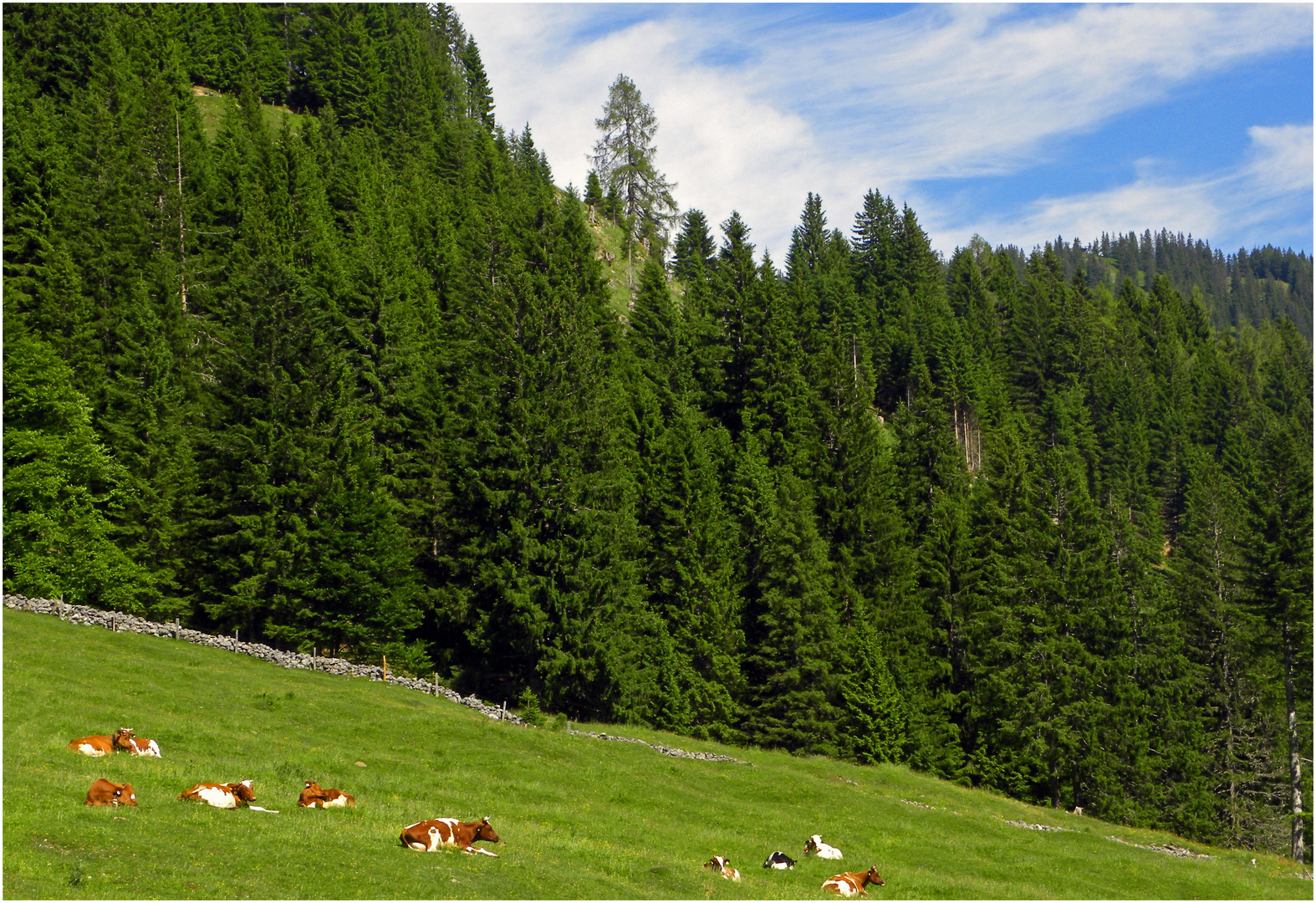 Auf der Rieding Alm 1...