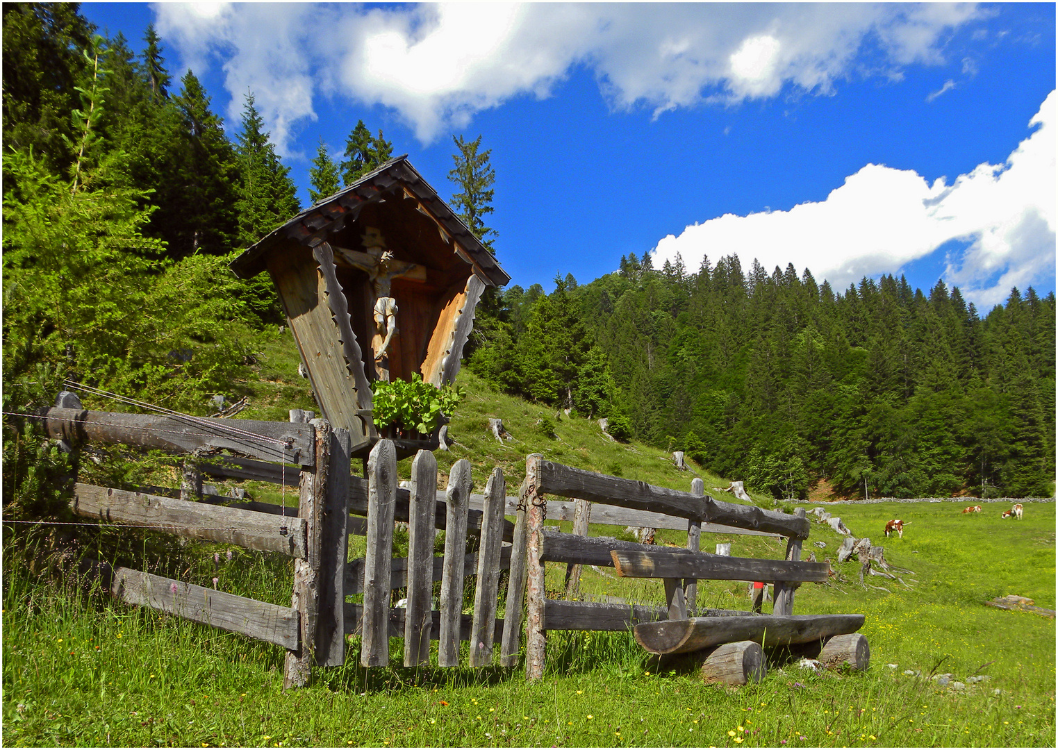 Auf der Rieding Alm 2...