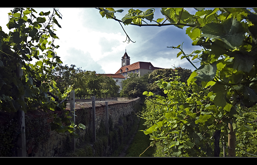 Auf der Riegersburg