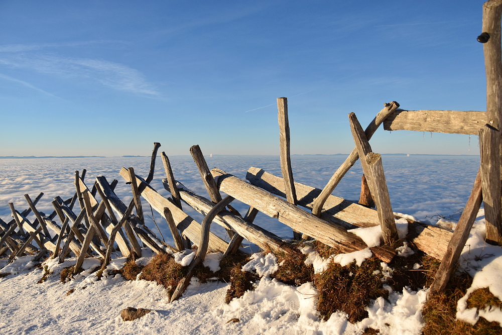 Auf der Rigi 1