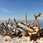 Auf der Rigi 1