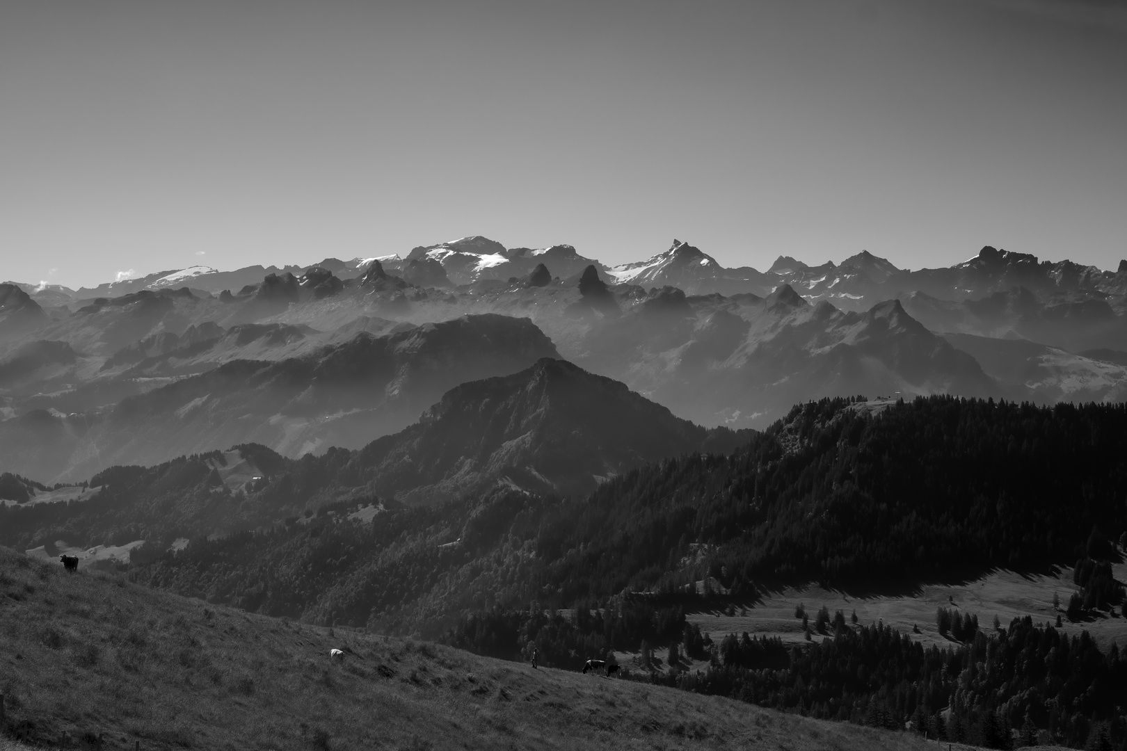 Auf der Rigi 1