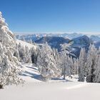 Auf der Rigi