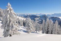 Auf der Rigi