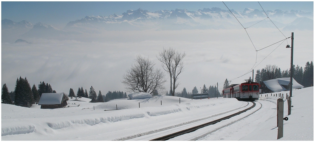 Auf der Rigi hats noch Schnee