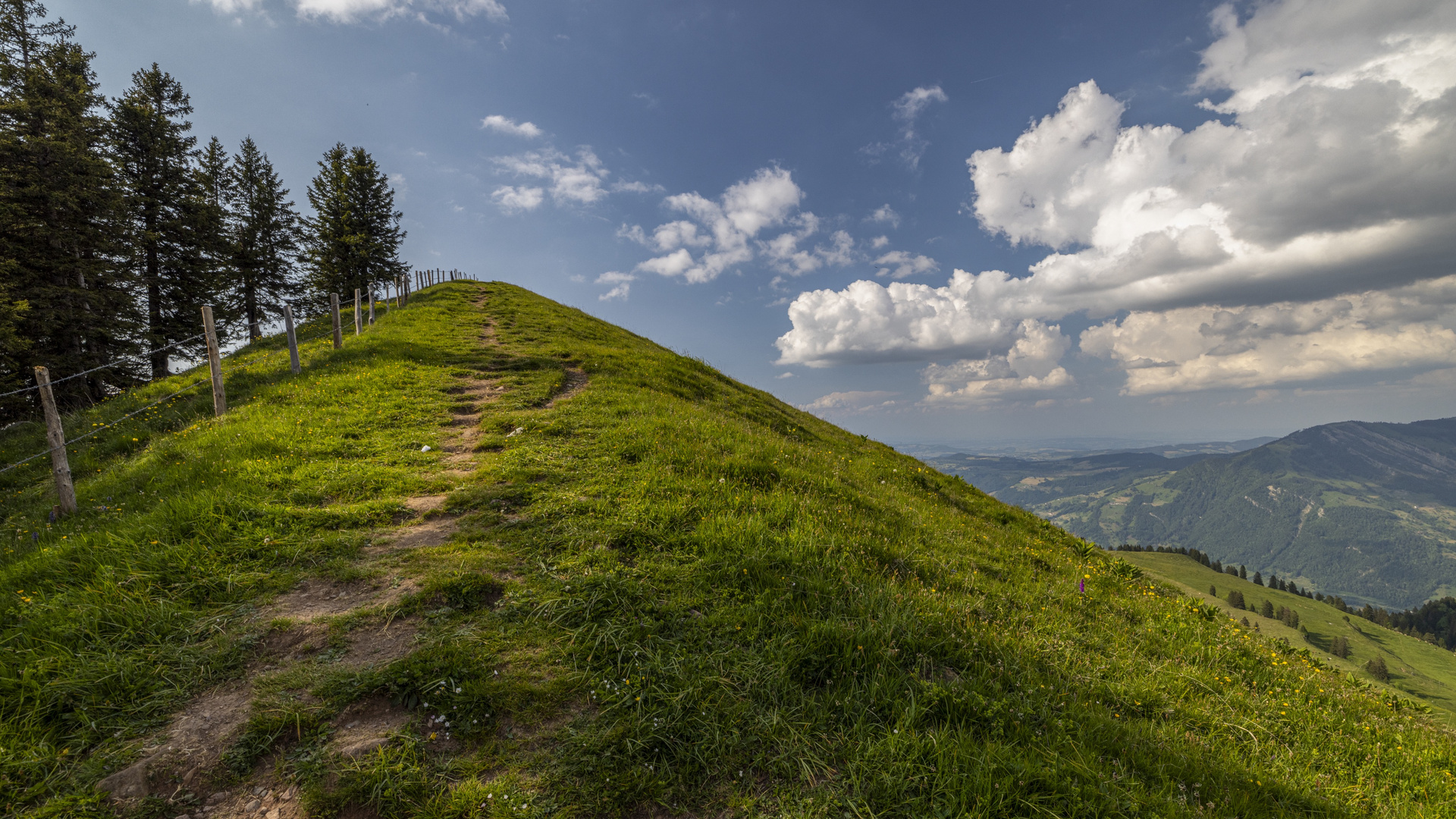 Auf der Rigi - Scheidegg 