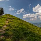 Auf der Rigi - Scheidegg 