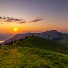 Auf der Rigi - Scheidegg 