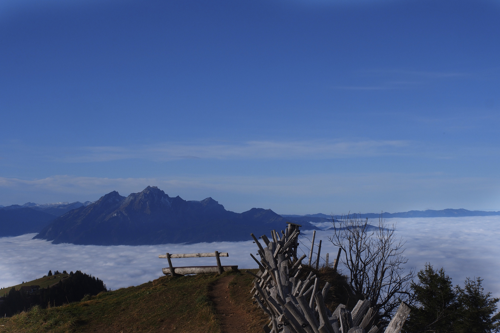 Auf der Rigi über dem Nebel