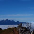 Auf der Rigi über dem Nebel