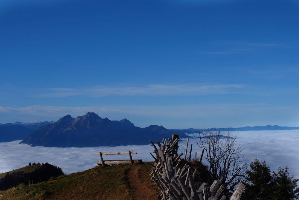 Auf der Rigi über dem Nebel