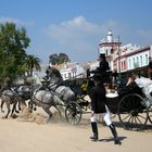 auf der Romero Hochzeit in El Rocio / Cota Donana gehen die Pferde durch1-070505 Spanien 5 072
