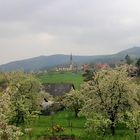 Auf der Route de Vin...