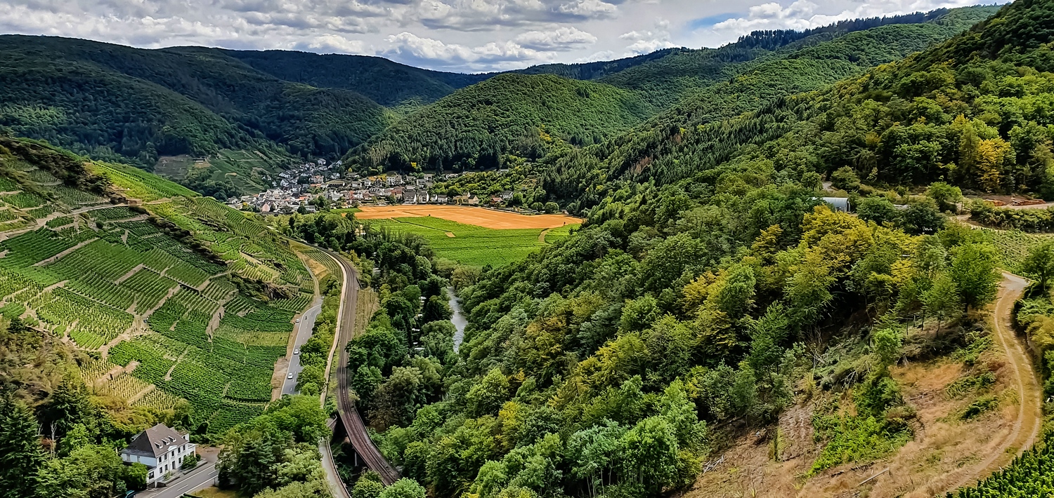 Auf der Ruine Saffenburg