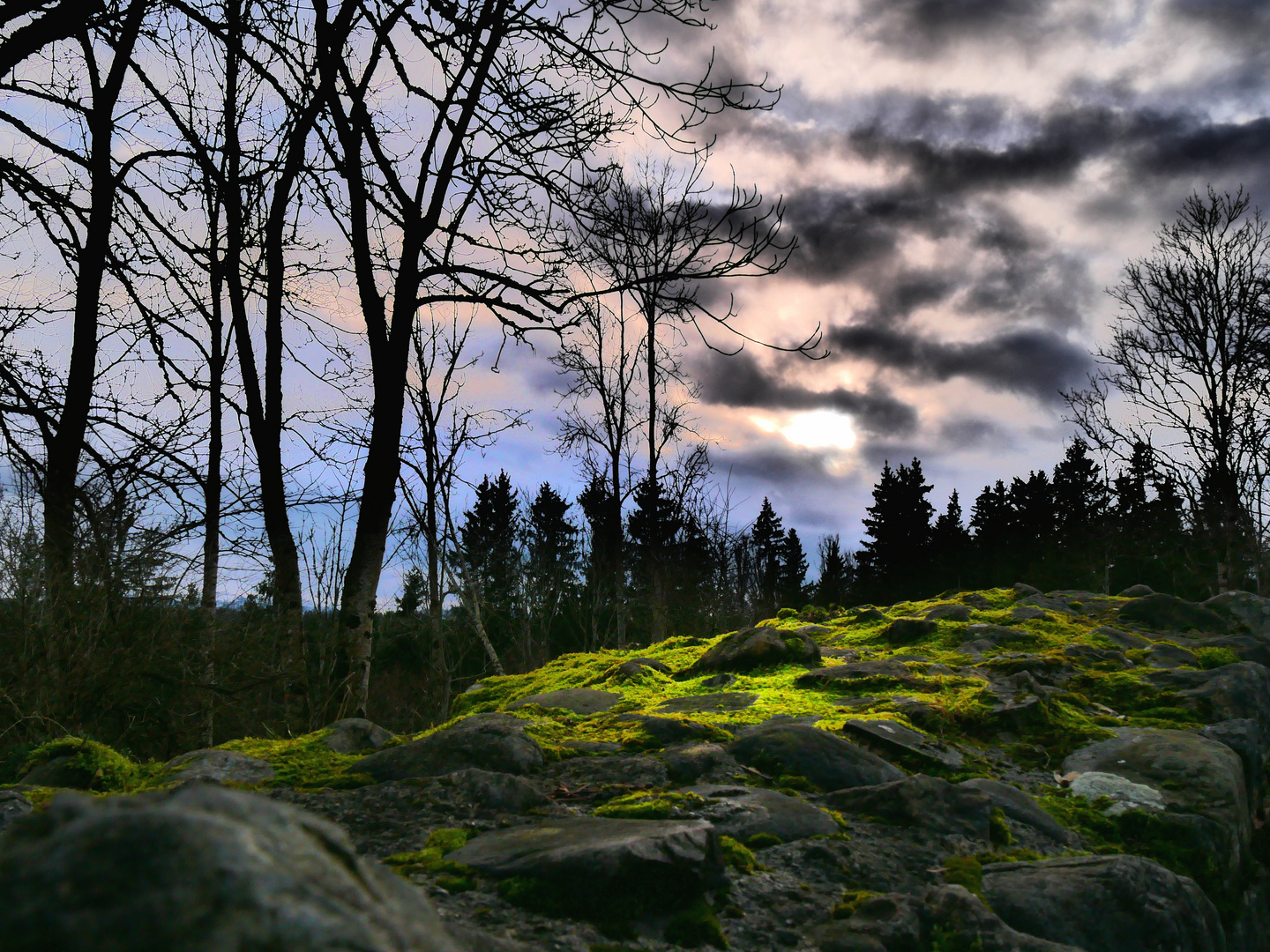 Auf der Ruine Wolkenburg