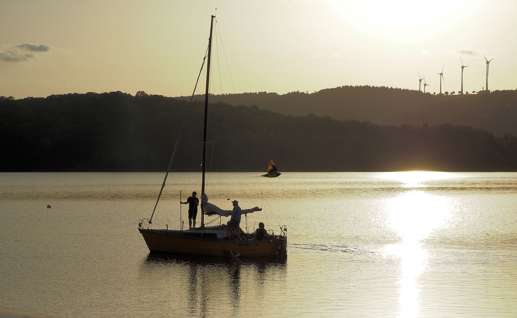 Auf der Rurtalsperre …