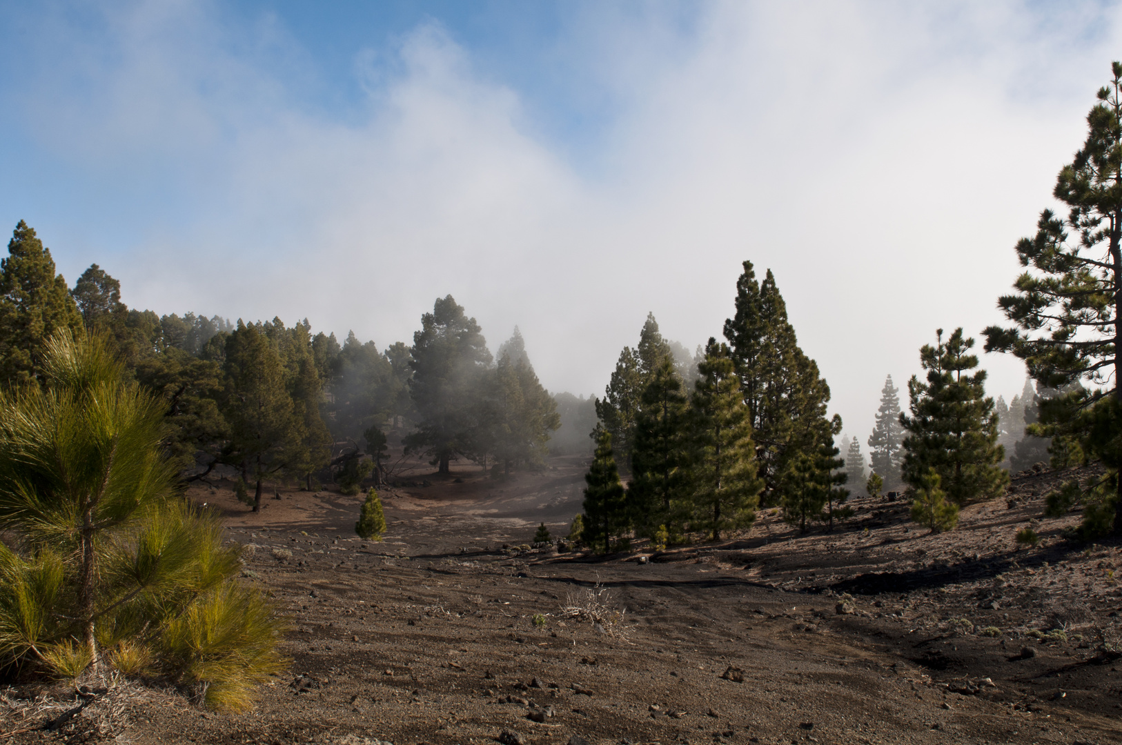 Auf der Ruta de los Volcanes (La Palma)