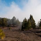 Auf der Ruta de los Volcanes (La Palma)