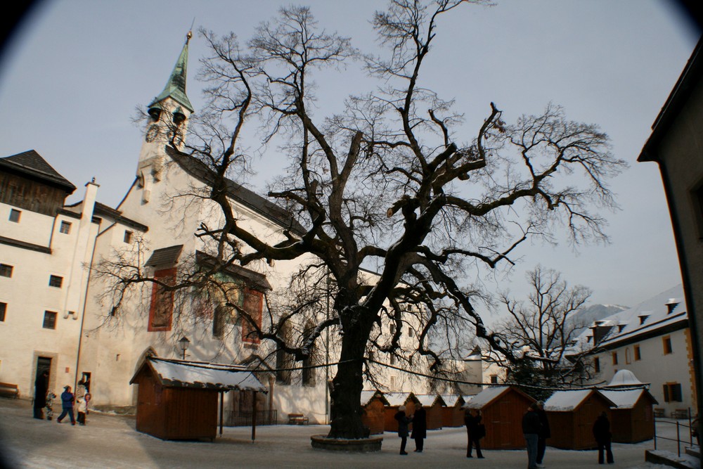 auf der Salzburg in Salzburg 2008