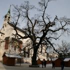 auf der Salzburg in Salzburg 2008