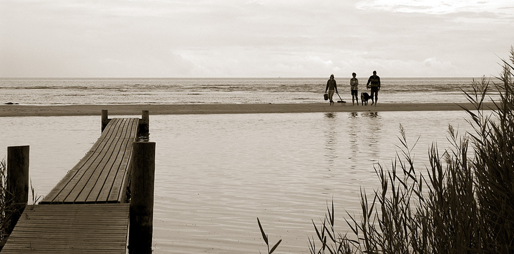 Auf der Sandbank