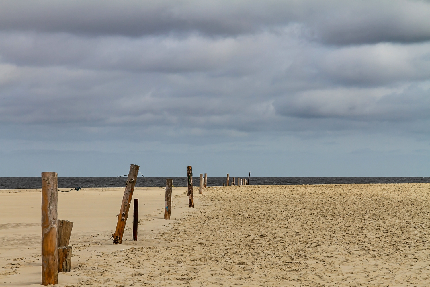 Auf der Sandbank "Hohe Riff"