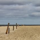 Auf der Sandbank "Hohe Riff"