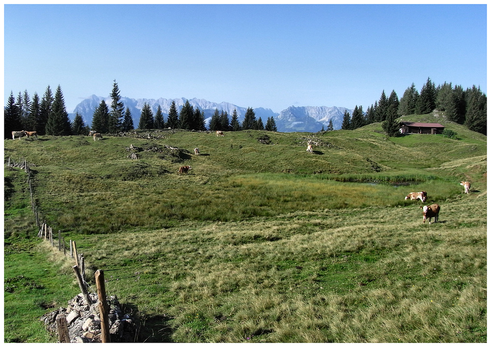 Auf der Sauermöseralm