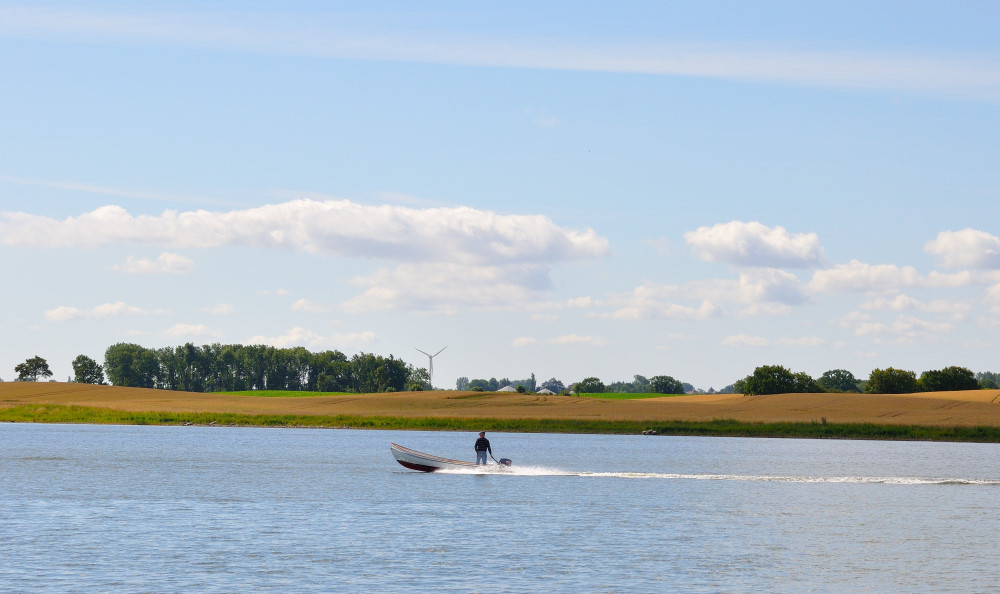 auf der  Schlei