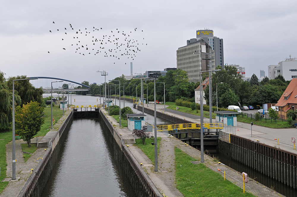 Auf der Schleusenbrücke