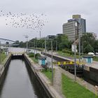 Auf der Schleusenbrücke