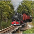 Auf der Schlösseler Schwarzwasserbrücke