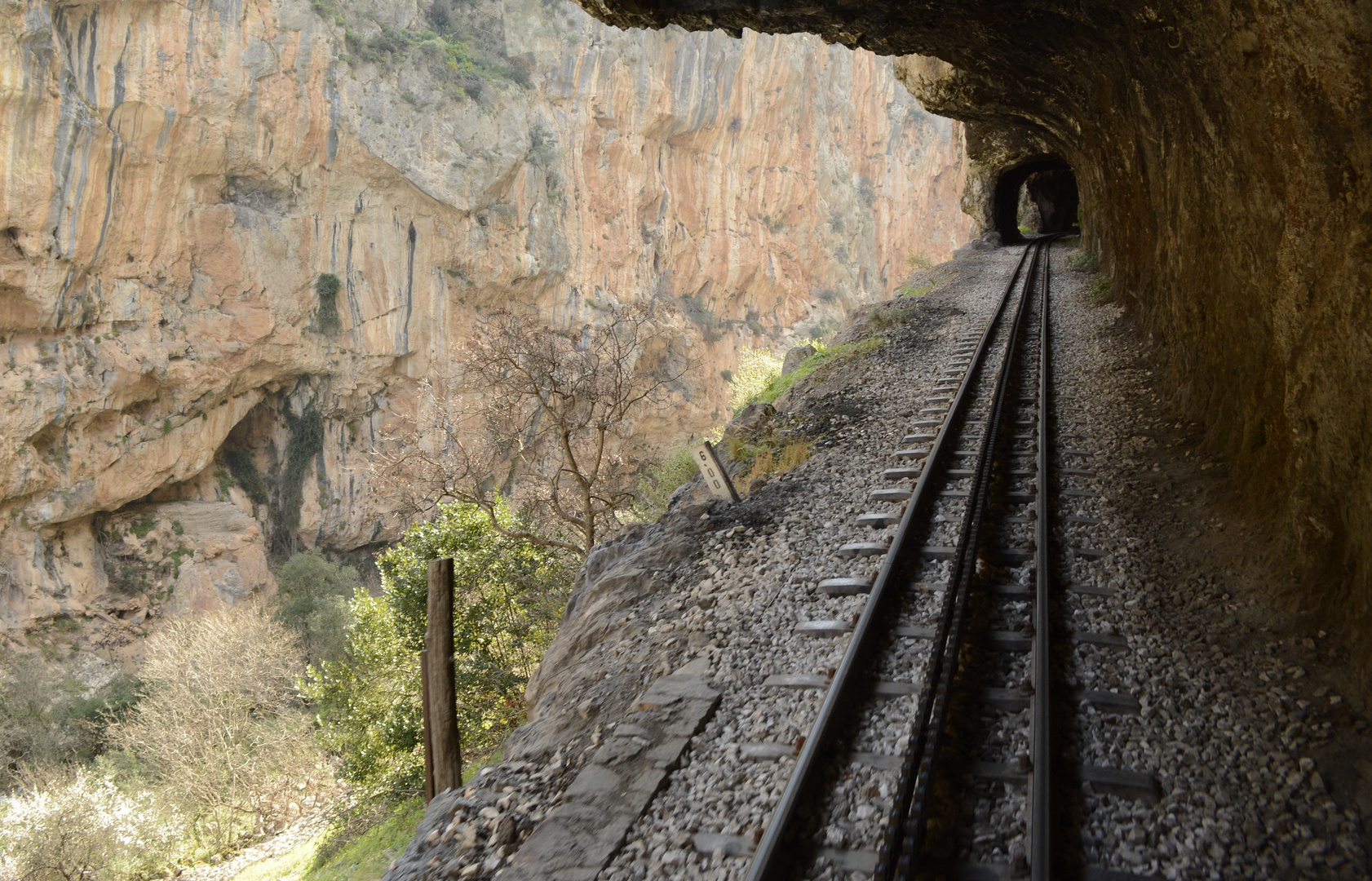 Auf der Schmalspurzahnradbahn