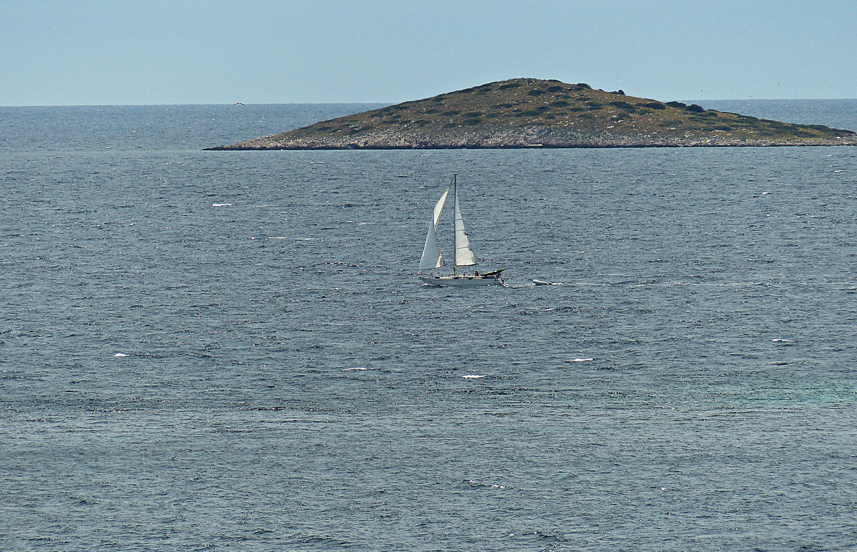 Auf der schönen Adria 1