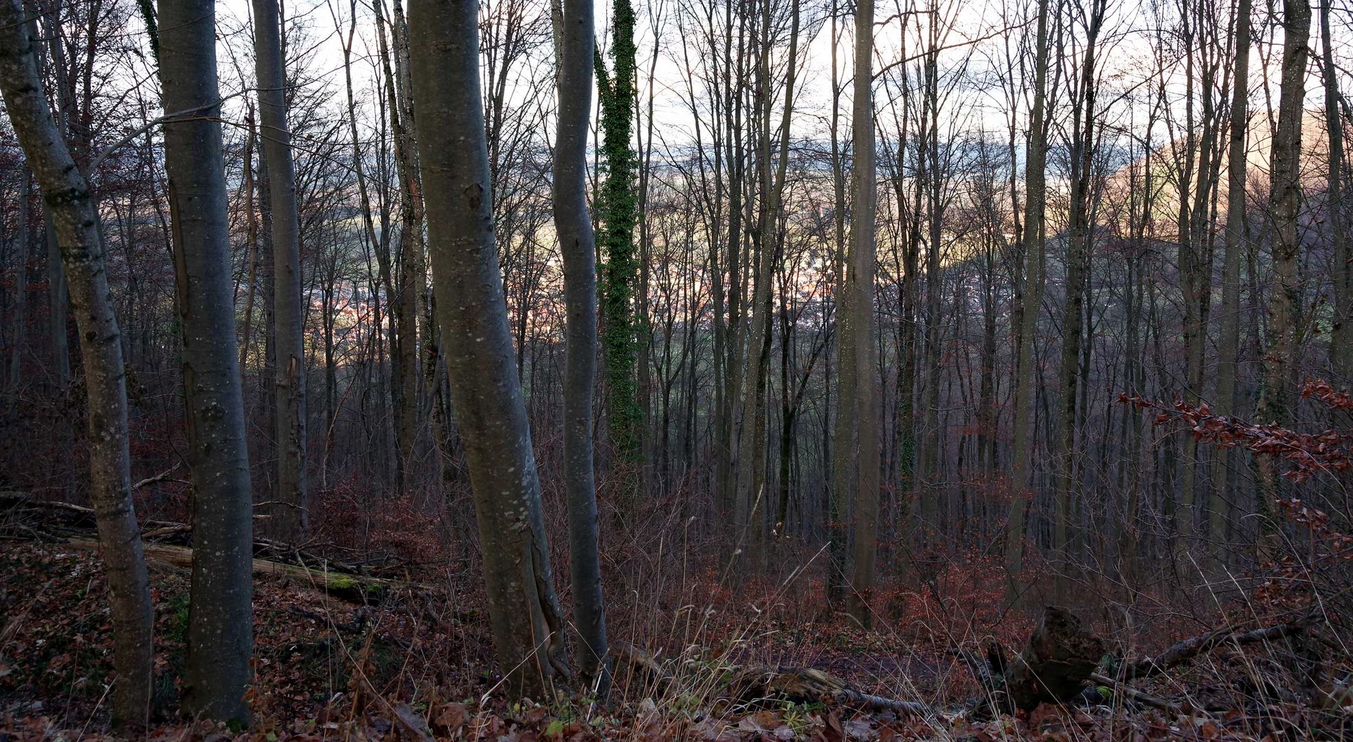 auf der Schwäbischen Alb