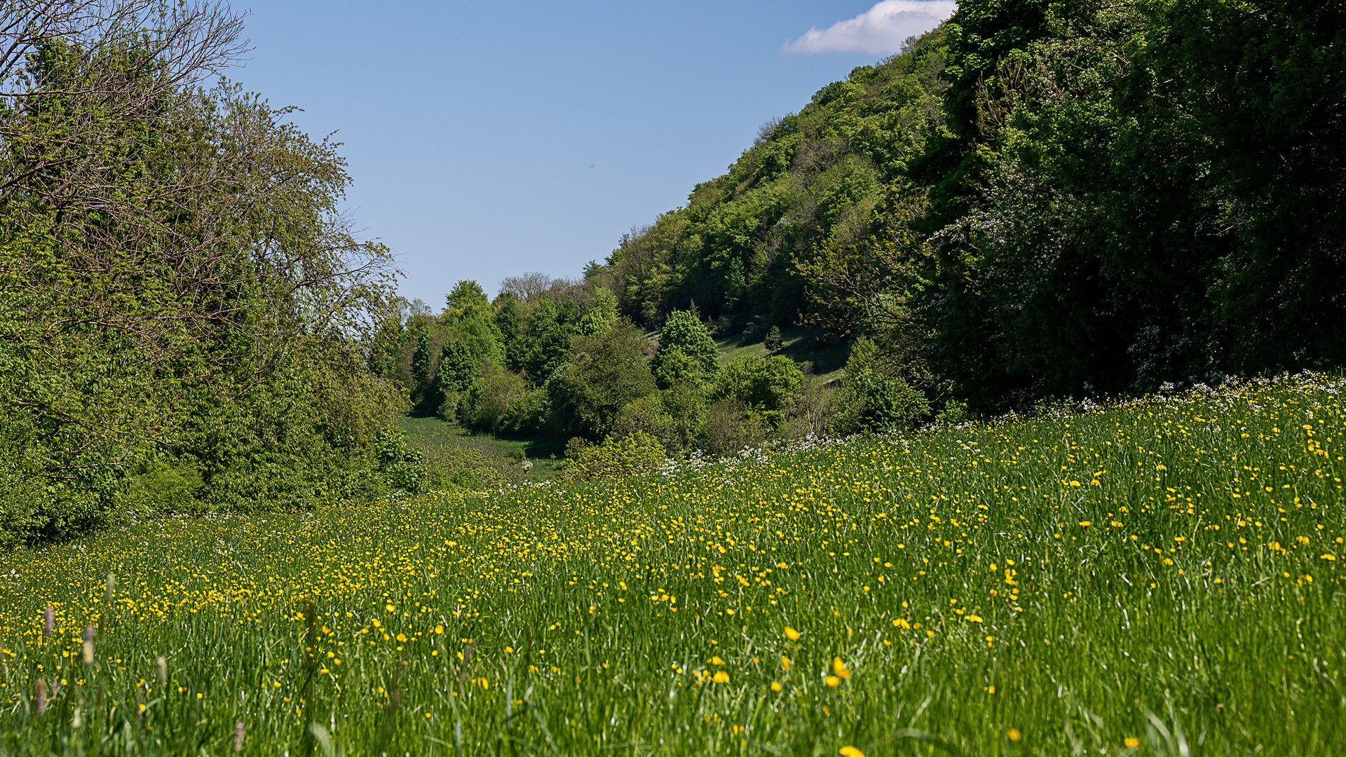 Auf der Schwäbischen Alb - Sur le Jura souabe