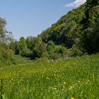 Auf der Schwäbischen Alb - Sur le Jura souabe
