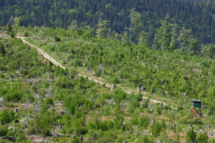 Auf der Schwarzwaldhoehenstrasse 1