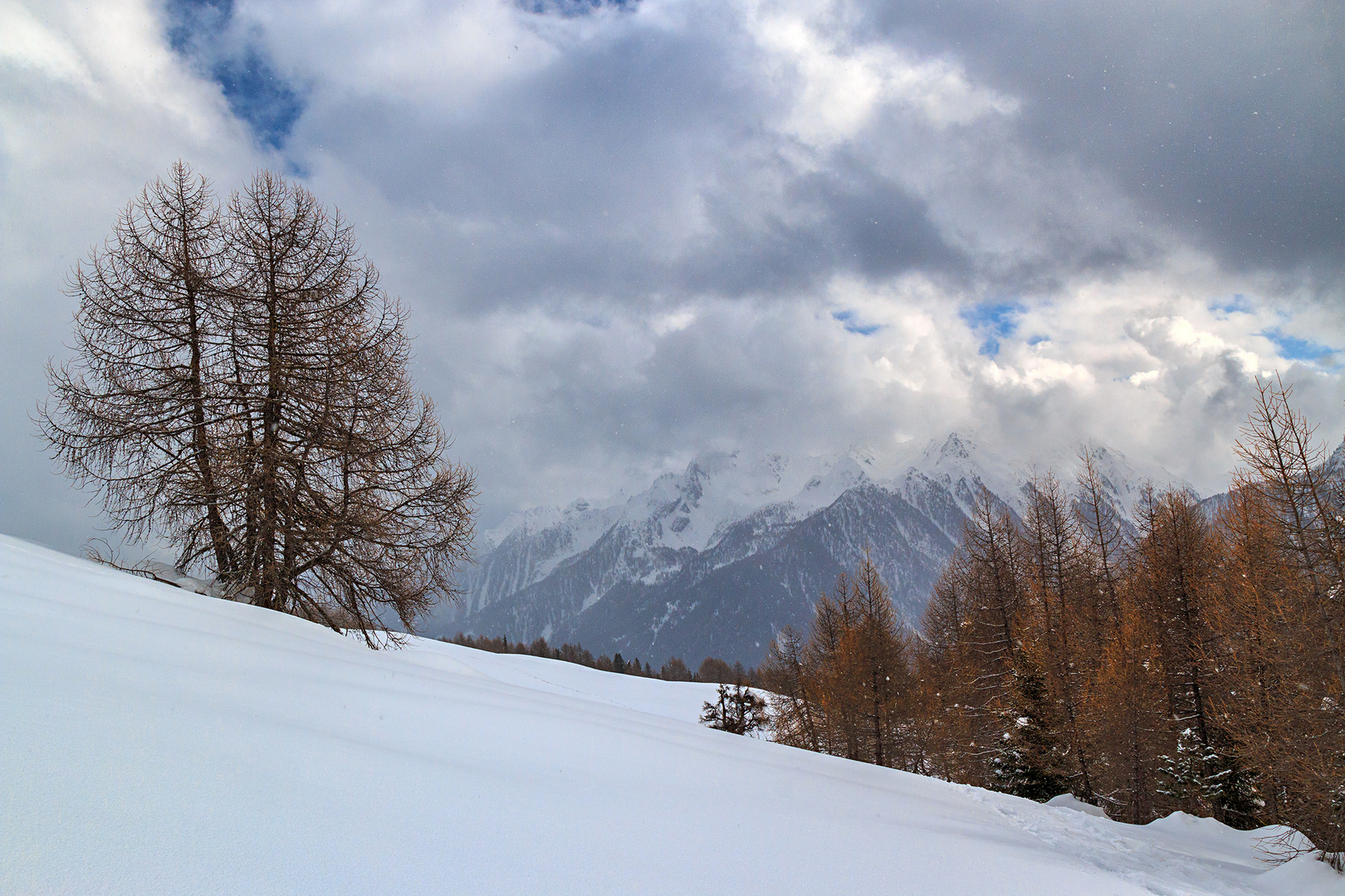 Auf der Schwemmalm im Ultental