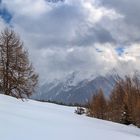 Auf der Schwemmalm im Ultental