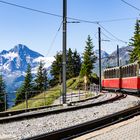 Auf der Schynige Platte angekommen...