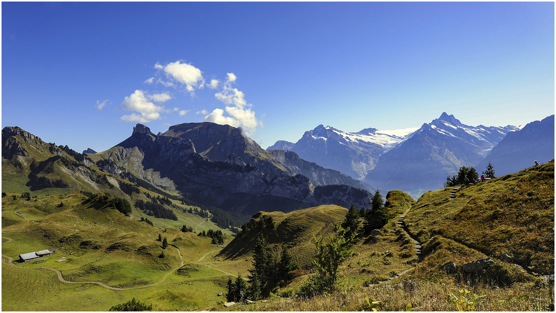 Auf der Schynige Platte