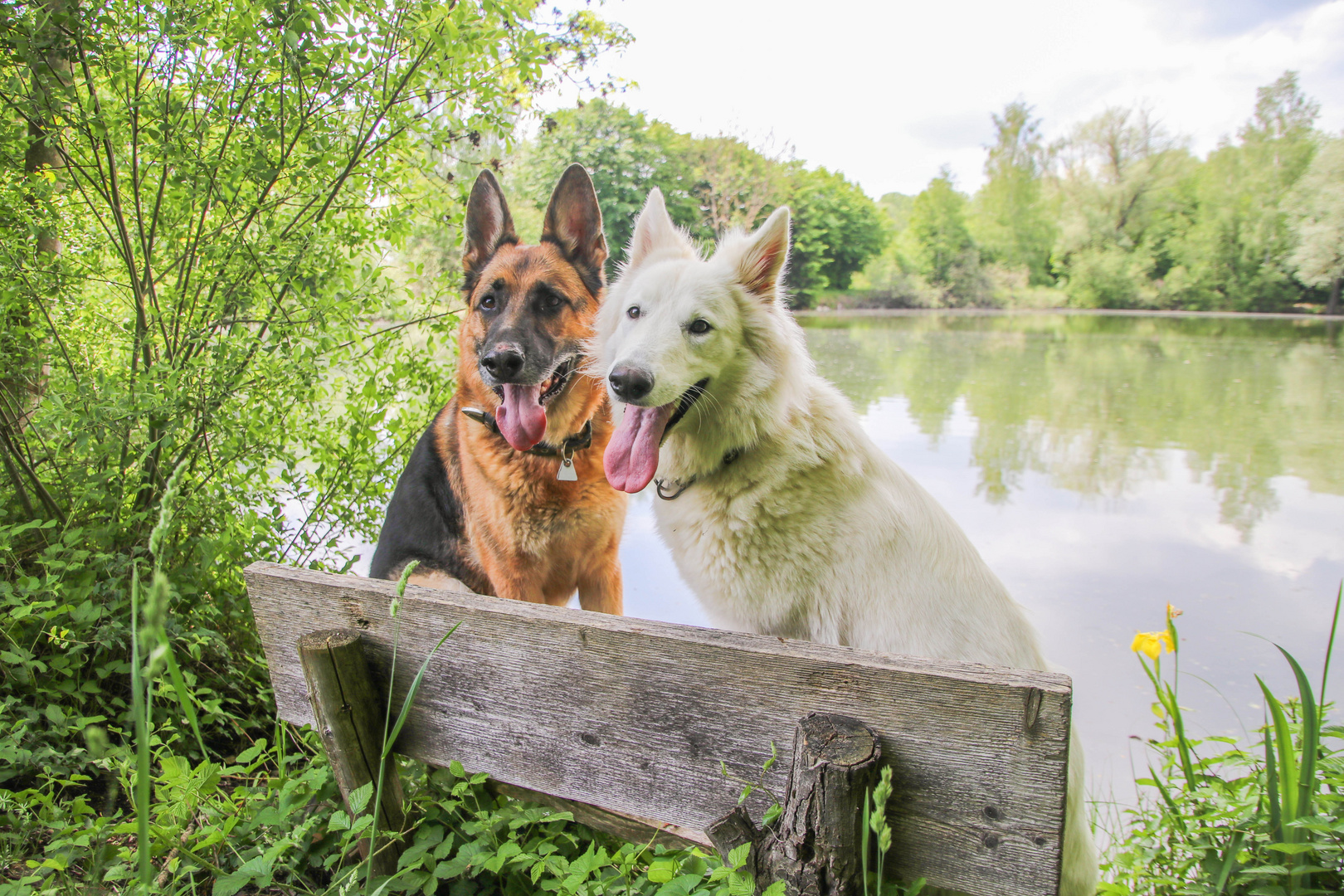 auf der Seebank