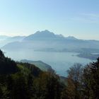 Auf der Seebodenalp, Rigi, Küssnacht, Schweiz