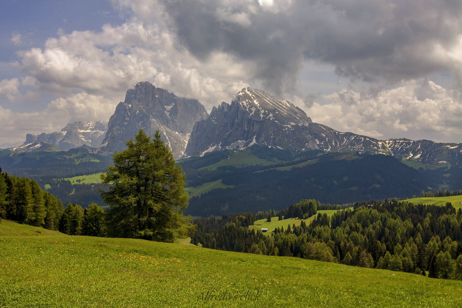 Auf der Seisel Alm-Südtirol